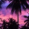 kahoku_closet